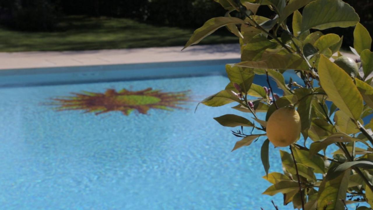 Corte Delle Cicale Bed and Breakfast Bardolino Exterior foto